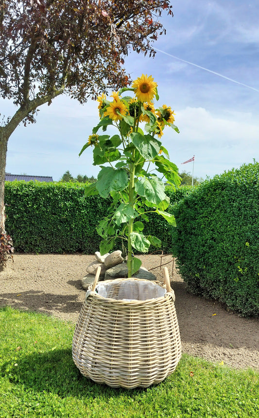 Flettet rattan plantekurv med træhanke - stor Ø41xH39 cm