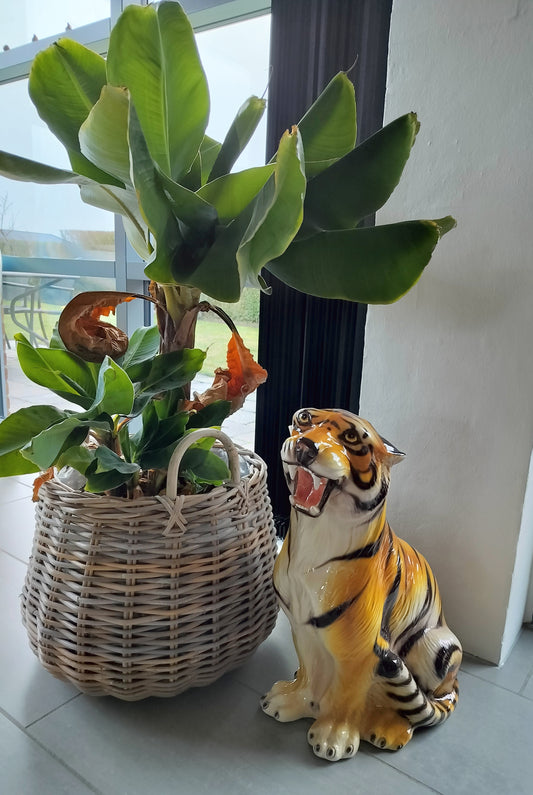 Secondhand - Porcelæns tiger H 54 cm